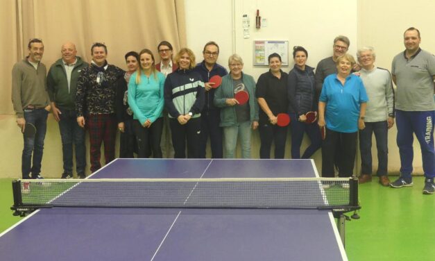 Section Ping santé à Auxerre